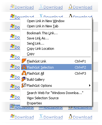 FlashGot 1.5.5.99 Mac software screenshot
