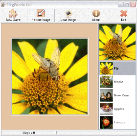 15 gPuzzle Go 1.0 software screenshot