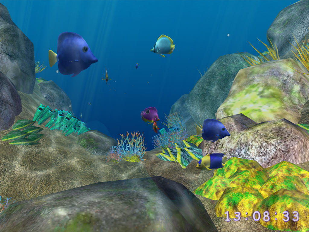 3D Coral World ScreenSaver 2.7 software screenshot