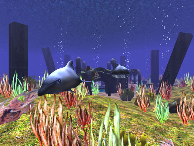 3D Wild Dolphin Screensaver 1.4 software screenshot