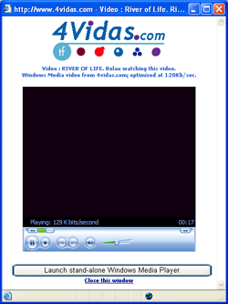 4vidas 2.0.7 software screenshot