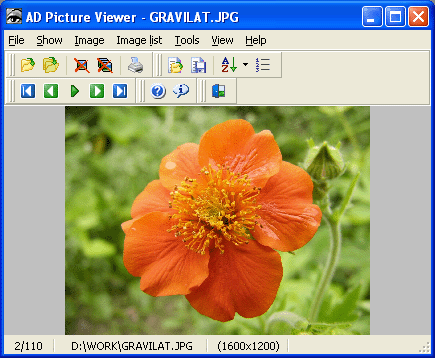 AD Picture Viewer 3.9.1 software screenshot