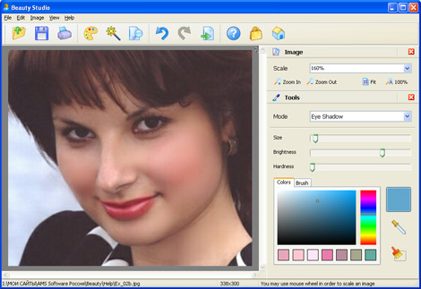 AMS Beauty Studio 1.85 software screenshot