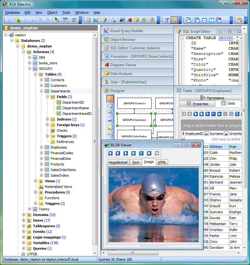 ASA Maestro 13.3.0.1 software screenshot