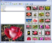 Able Image Browser 2.0.14.14 software screenshot