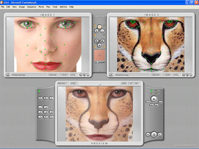 Abrosoft FantaMorph Pro 5.4.7 software screenshot