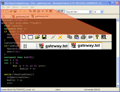 AbsoluteTelnet Telnet / SSH Client 9.18 software screenshot