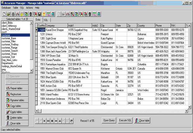 Accuracer Database System 4.03 software screenshot