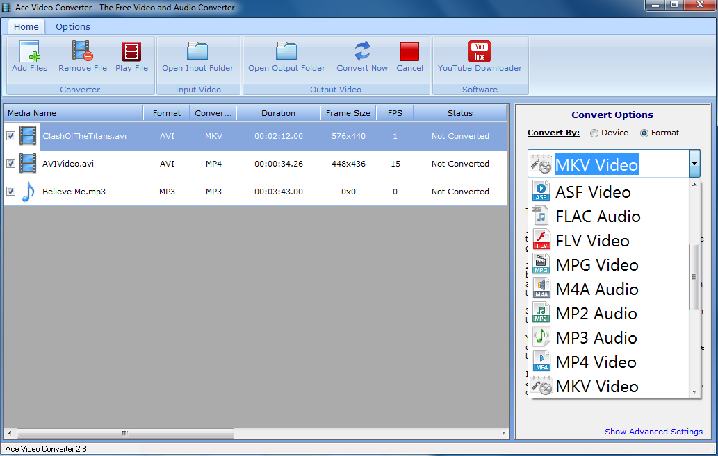 Ace Video Converter 3.6 software screenshot