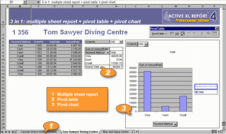 Active XL Report 4.5 software screenshot