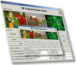 ActiveResize Control 3.3 software screenshot