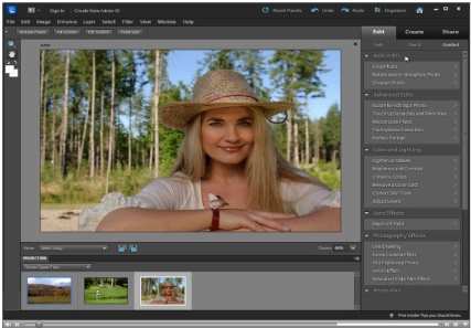 Adobe Photoshop Elements 15.0 software screenshot