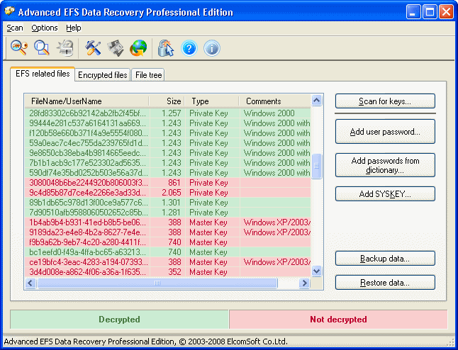 Advanced EFS Data Recovery 4.43 software screenshot