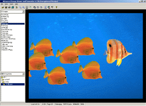 Advanced Image Viewer and Converter 1.6 software screenshot