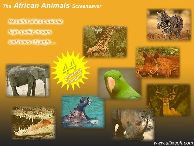 African Animals Screensaver 1.7 software screenshot
