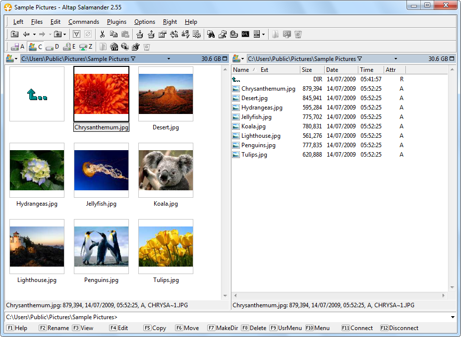 Altap Salamander 3.07 software screenshot
