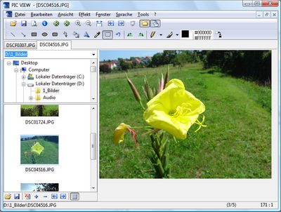 Alternate Pic View 2.400 software screenshot