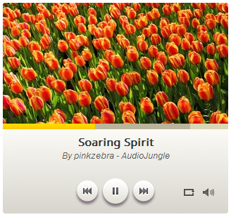 Amazing Audio Player 3.2 software screenshot