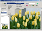 Amazing Graphic Editor 1.5 software screenshot