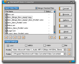 Anewsoft Video Converter 2.0 software screenshot