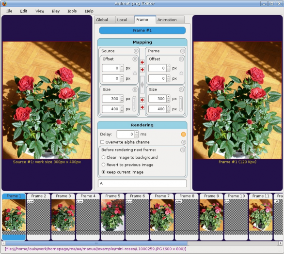 Animat 1.11 software screenshot