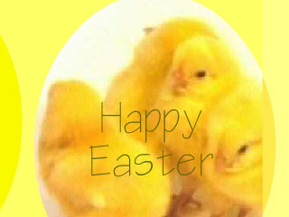 Animated Easter Chickens Wallpaper 1.0 software screenshot