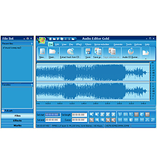Audio Editor Gold 8.11.1.1382 software screenshot