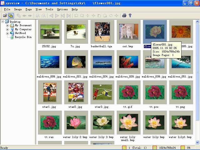 AyeView 3.00 software screenshot