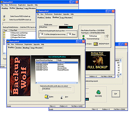 Backup Wolf 3.22 software screenshot