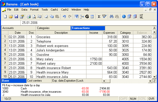 Banana Cashbook 5.00.03 software screenshot