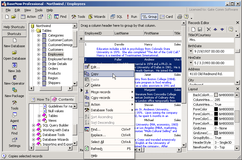 BaseNow 1.1.7 software screenshot