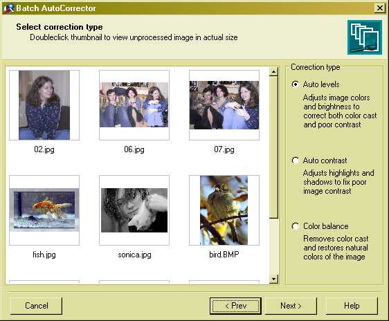 Batch AutoCorrector 0.8 software screenshot
