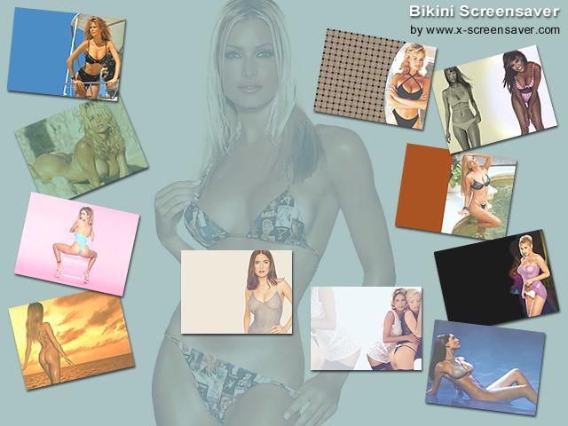 Bikini Screensaver 1.6 software screenshot