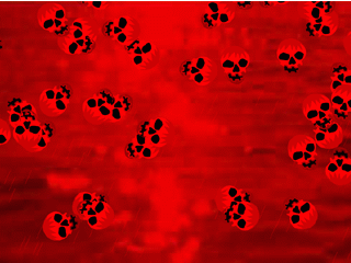 Blood Red Halloween Wallpaper 2.0 software screenshot