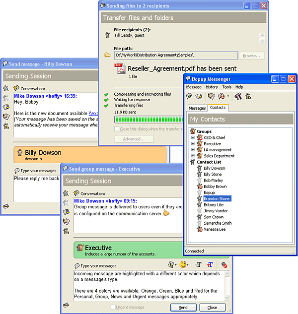 Bopup Messenger 6.8.8.12010 software screenshot