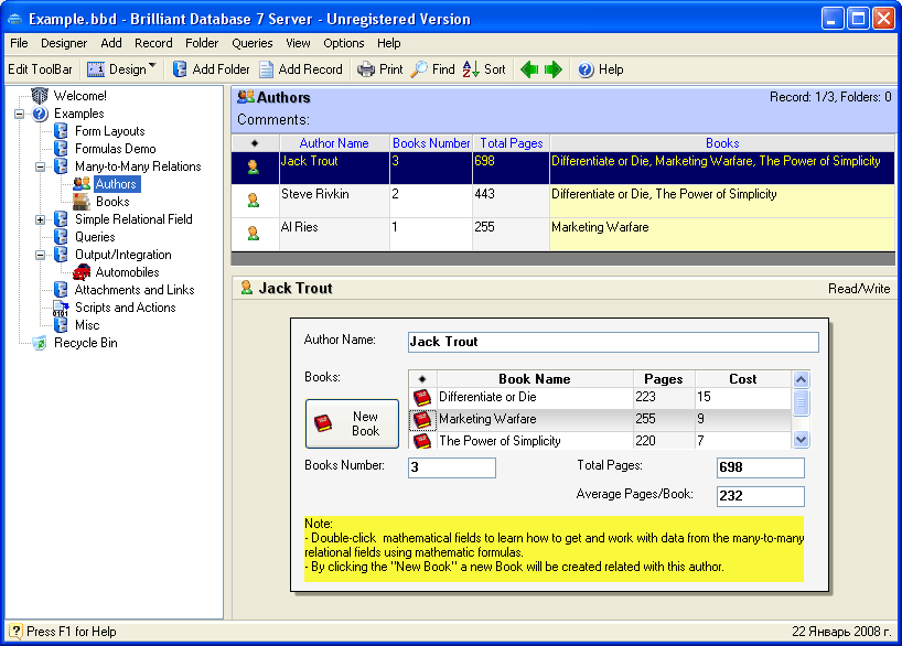 Brilliant Database Server 10.06 software screenshot