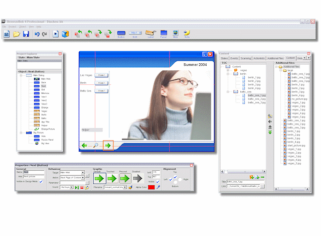 BrowserBob Professional 4.1.0.0 software screenshot