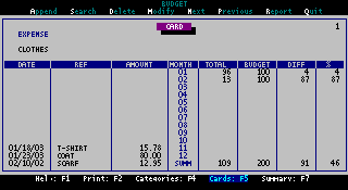 Budget 3.2.1 software screenshot