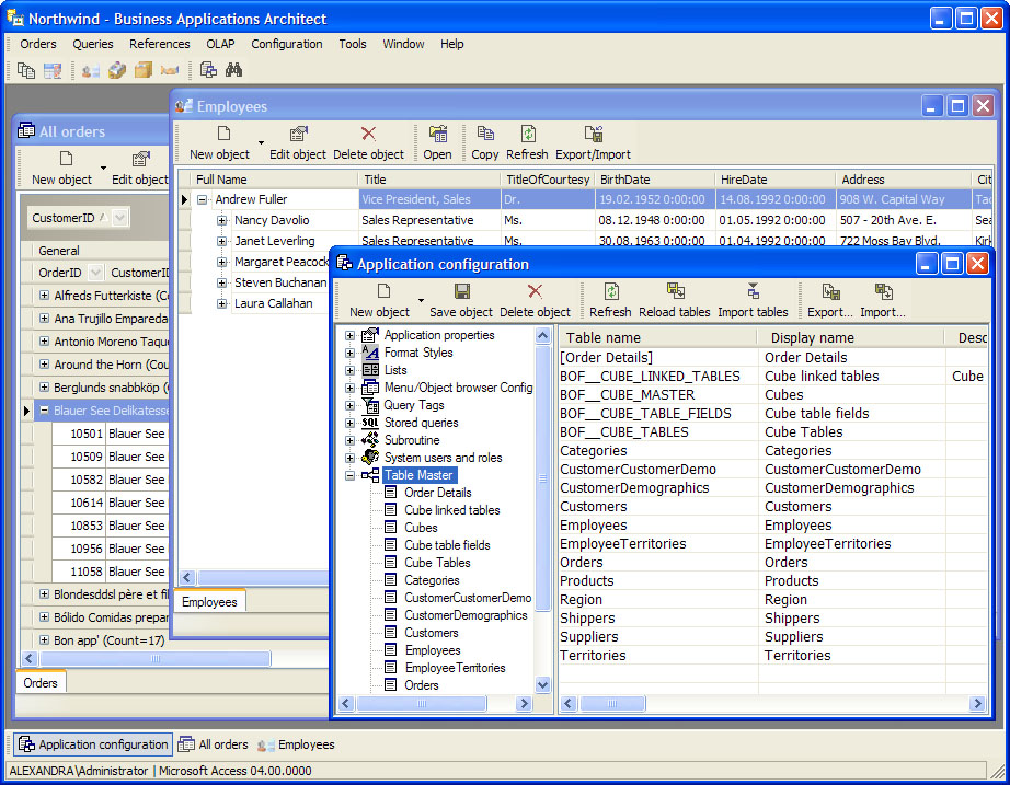 Business Applications Architect 3.0 software screenshot