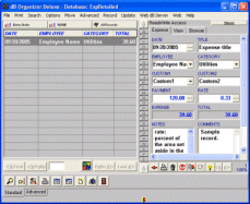 Business Expense Organizer 3.7 software screenshot