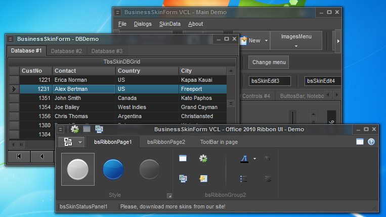 BusinessSkinForm 12.01 software screenshot