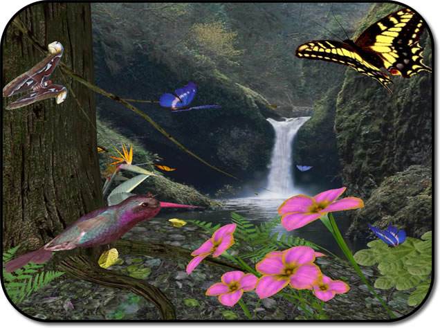 Butterflies3D 1.0 software screenshot