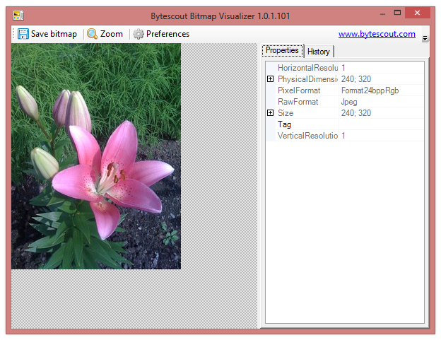 Bytescout Bitmap Visualizer 1.0.2.103 software screenshot