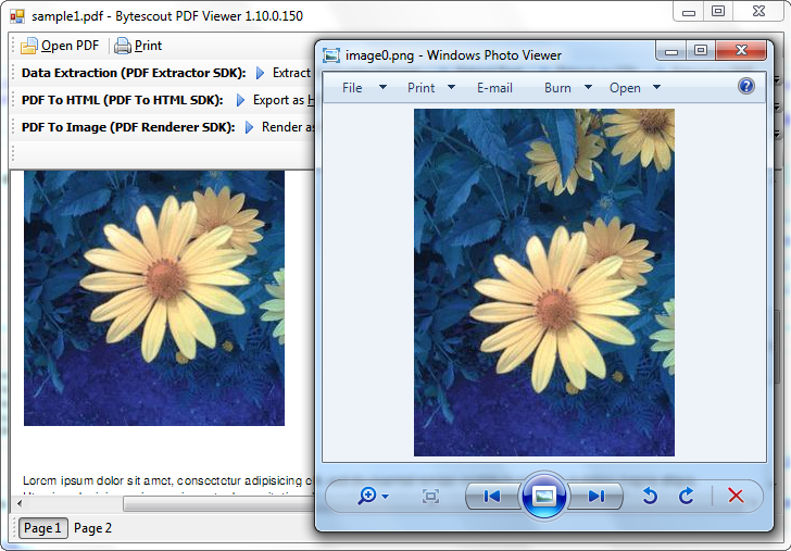 Bytescout PDF Extractor SDK 7.00.0.2474 software screenshot