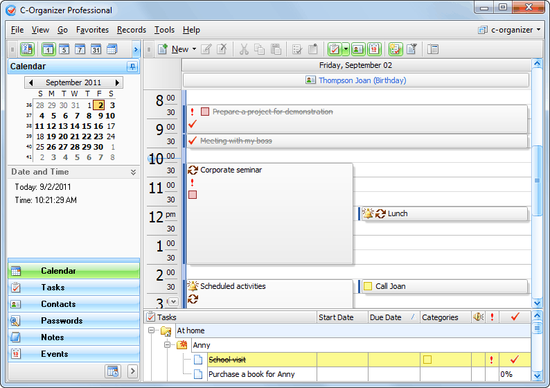 C-Organizer Professional 6.2 software screenshot