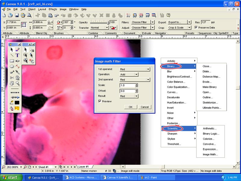 Canvas Scientific Imaging Edition 9.0.4 software screenshot