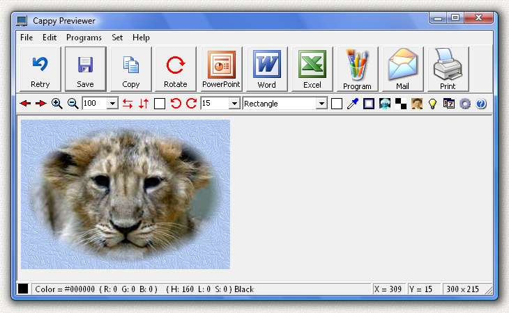 Cappy Screen Capture 3.5 software screenshot