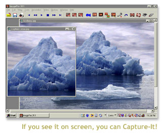 Capture-It! 1.0 software screenshot