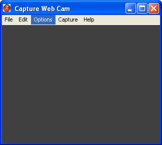 Capture WebCam 2.0314 software screenshot