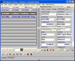 Car Sales Organizer Deluxe 4.0 software screenshot